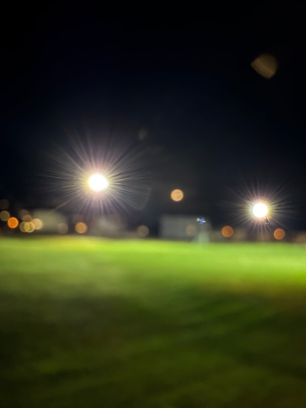 Luci notturne sfocate sopra un prato verde